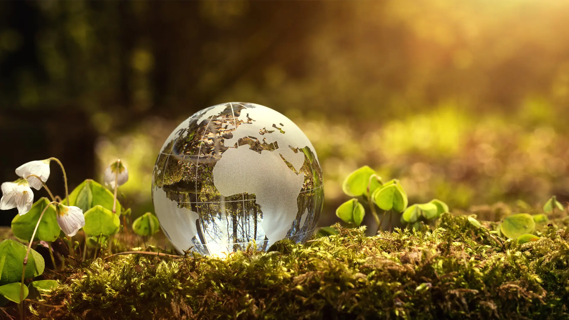 Aptar Launches Closures Made of Post-Consumer Resin