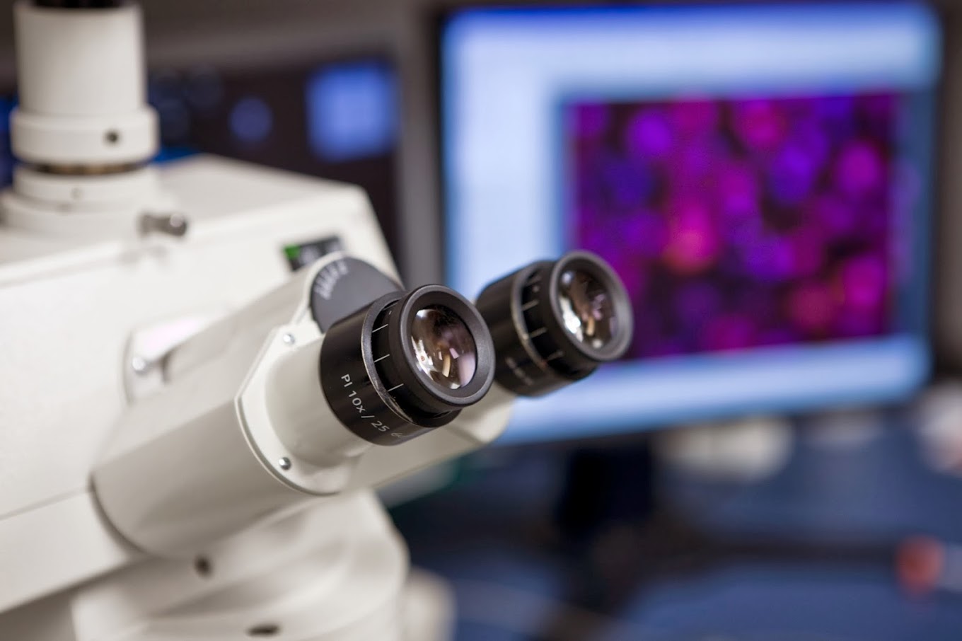 Analytical Services in the Development of MDIs and DPIs