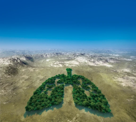 An overhead shot of clusters of green trees forming the shape of lungs symbolizing sustainability for inhalation technology.