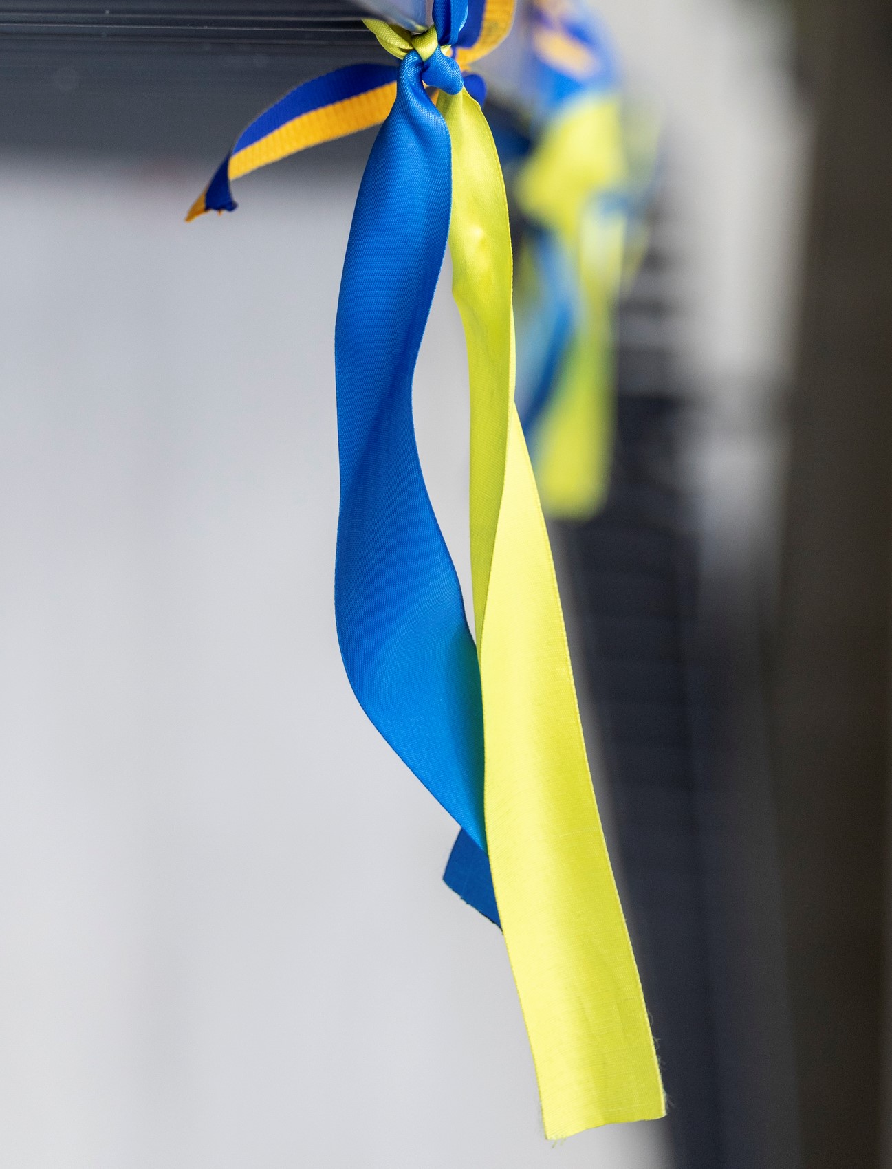 Solidarity and Support for Ukraine