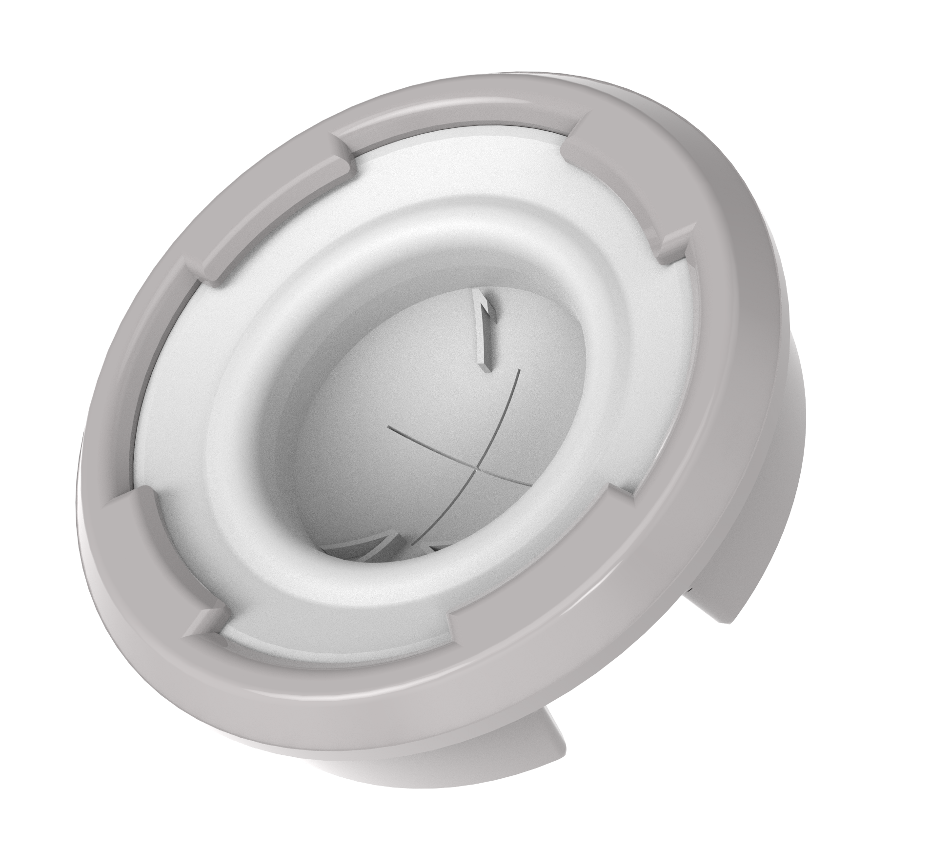 2024_03_05_SureSnap.45.png