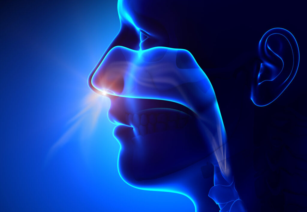 Delivery of Biologics to the Nasal Cavity: The Future of Nasal Drug Delivery